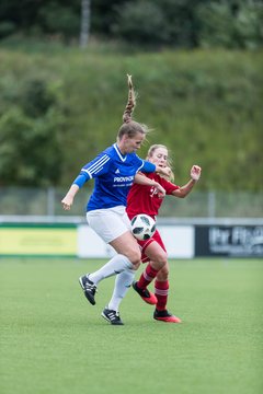 Bild 141 - F FSG Kaltenkirchen - SV Wahlstedt : Ergebnis: 6:1